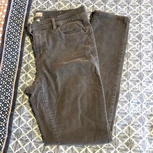 Loft Modern Straight suede-style cord pants, size 8